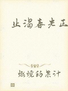 止渴春光正好封面