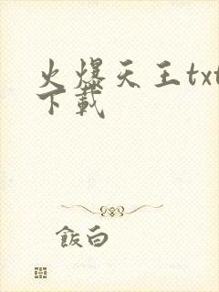 火爆天王txt下载封面
