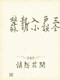 双龙入户三人行苏玥小说全文阅读
