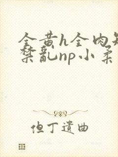 全黄h全肉短篇禁乱np小柔封面