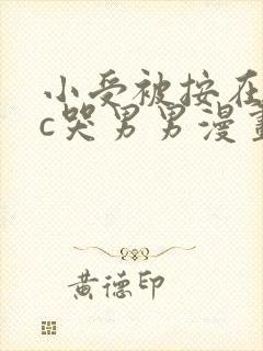 小受被按在墙上c哭男男漫画