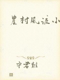 农村风流小说