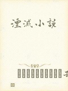 湮灭小说