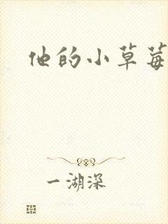 他的小草莓封面
