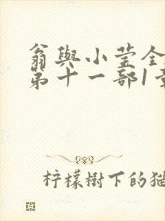 翁与小莹全目录第十一部1章