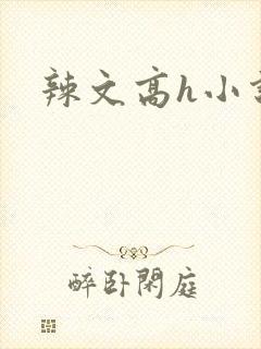 辣文高h小说