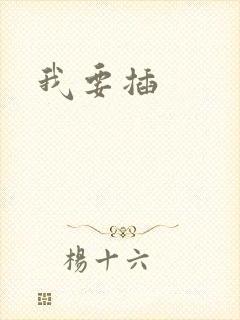 我要插