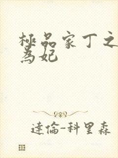 极品家丁之册母为妃封面