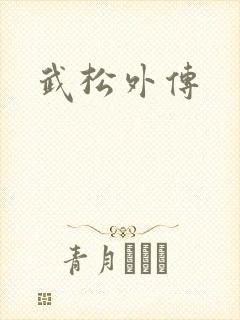 武松外传