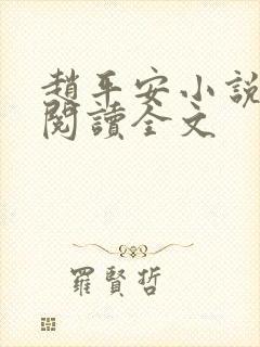 赵平安小说免费阅读全文封面