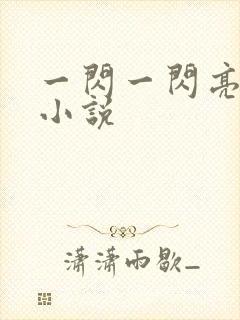 一闪一闪亮星星小说