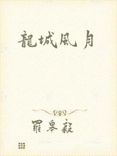 龙城风月封面