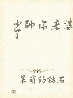 少帅你老婆又跑了