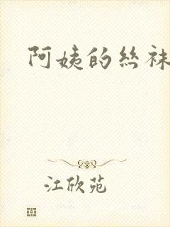 阿姨的丝袜小说