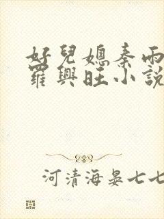 好儿媳秦雨罗明罗兴旺小说