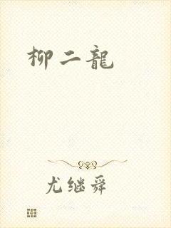 柳二龙