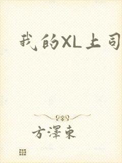 我的XL上司封面