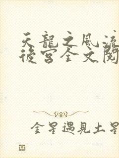 天龙之风流猎艳后宫全文阅读封面