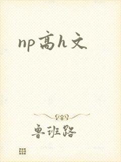 np高h文
