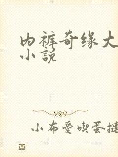 内裤奇缘大团结小说