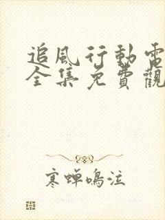 追风行动电视剧全集免费观看