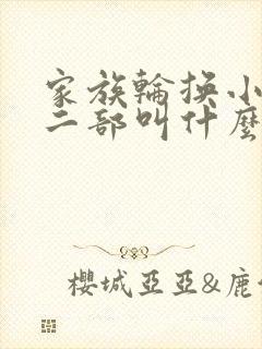 家族轮换小说第二部叫什么名字
