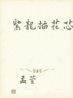 紫龙插花芯方正封面