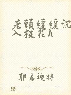 老头缓缓沉腰进入校花h