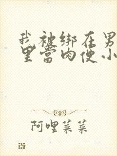 我被绑在男公厕里当肉便小说封面