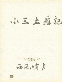 小三上瘾记