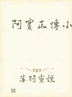 阿宾正传小说