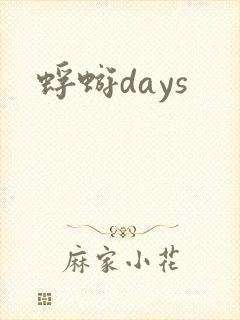 蜉蝣days封面