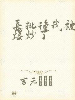 长批后我被宿敌爆炒了