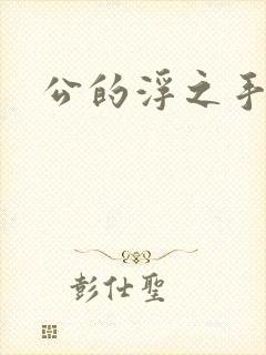 公的浮之手中字封面
