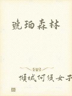 琥珀森林封面