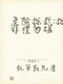 危险总裁:总裁非礼勿碰封面