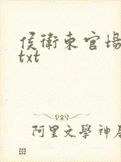侯卫东官场笔记txt封面