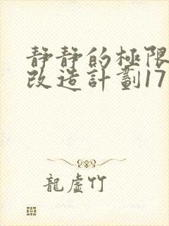 静静的极限自我改造计划17