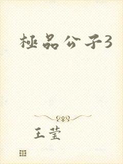 极品公子3