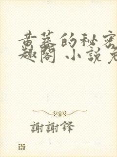 黄蓉的秘密 笔趣阁 小说免费阅读封面