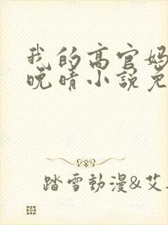 我的高官妈妈苏晚晴小说免费阅读封面