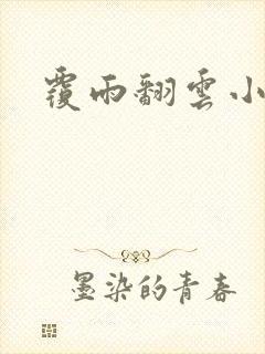 覆雨翻云小说