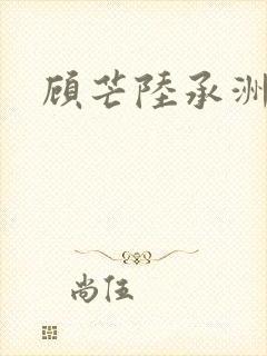 顾芒陆承洲