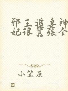 邪王追妻神医狂妃很嚣张全文免费
