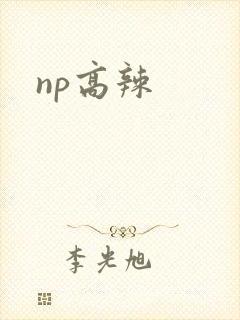 np高辣