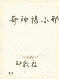 奇神杨小邪封面
