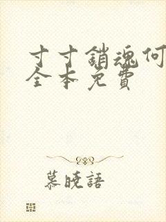 寸寸销魂何生祥全本免费