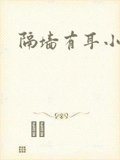 隔墙有耳小说封面