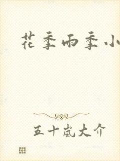 花季雨季小说