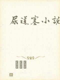 尿道塞小说封面